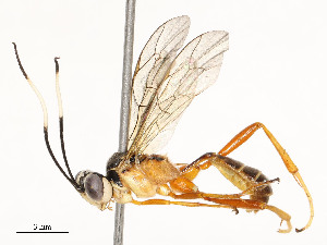  ( - CBG-A53649-D02)  @11 [ ] CreativeCommons - Attribution Share - Alike (2024) CBG Photography Group Centre for Biodiversity Genomics