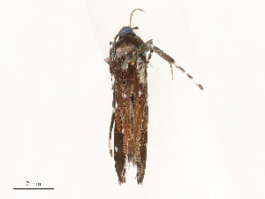  ( - CBG-A53650-E09)  @11 [ ] CreativeCommons - Attribution Share - Alike (2024) CBG Photography Group Centre for Biodiversity Genomics