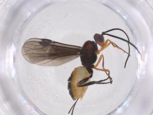  ( - CBG-A54005-F11)  @11 [ ] CreativeCommons - Attribution Share - Alike (2024) Centre for Biodiversity Genomics Centre for Biodiversity Genomics