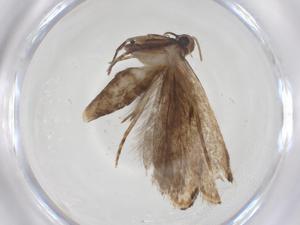  ( - CBG-A54724-B10)  @11 [ ] CreativeCommons - Attribution Share - Alike (2024) Centre for Biodiversity Genomics Centre for Biodiversity Genomics