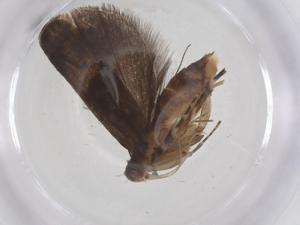  ( - CBG-A54772-B08)  @11 [ ] CreativeCommons - Attribution Share - Alike (2024) Centre for Biodiversity Genomics Centre for Biodiversity Genomics