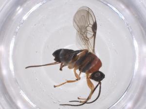  ( - CBG-A55387-E04)  @11 [ ] CreativeCommons - Attribution Share - Alike (2024) Centre for Biodiversity Genomics Centre for Biodiversity Genomics