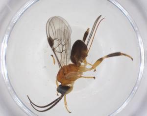  ( - CBG-A59617-F05)  @11 [ ] CreativeCommons - Attribution Share - Alike (2024) Centre for Biodiversity Genomics Centre for Biodiversity Genomics