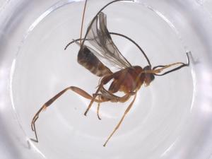  ( - CBG-A59621-G05)  @11 [ ] CreativeCommons - Attribution Share - Alike (2024) Centre for Biodiversity Genomics Centre for Biodiversity Genomics