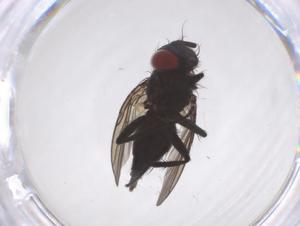  ( - CBG-A60205-G12)  @11 [ ] CreativeCommons - Attribution Share - Alike (2025) Centre for Biodiversity Genomics Centre for Biodiversity Genomics