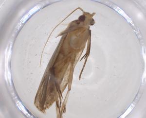  ( - CBG-A60909-F04)  @11 [ ] CreativeCommons - Attribution Share - Alike (2024) Centre for Biodiversity Genomics Centre for Biodiversity Genomics