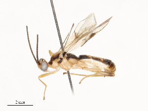  ( - CBG-A54406-D01)  @11 [ ] CreativeCommons - Attribution Share - Alike (2024) CBG Photography Group Centre for Biodiversity Genomics