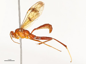  ( - CBG-A54482-H04)  @11 [ ] CreativeCommons - Attribution Share - Alike (2024) CBG Photography Group Centre for Biodiversity Genomics