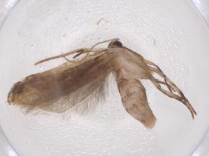  ( - CBG-A55837-G02)  @11 [ ] CreativeCommons - Attribution Share - Alike (2024) Centre for Biodiversity Genomics Centre for Biodiversity Genomics