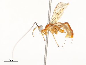  ( - CBG-A58710-E08)  @11 [ ] CreativeCommons - Attribution Share - Alike (2025) CBG Photography Group Centre for Biodiversity Genomics