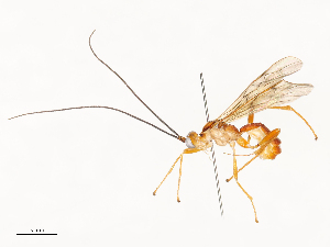  ( - CBG-A58711-C02)  @11 [ ] CreativeCommons - Attribution Share - Alike (2025) CBG Photography Group Centre for Biodiversity Genomics