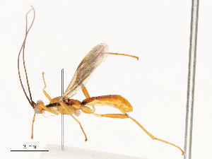  ( - CBG-A59560-F02)  @11 [ ] CreativeCommons - Attribution Share - Alike (2025) CBG Photography Group Centre for Biodiversity Genomics