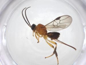  ( - CBG-A62155-C01)  @11 [ ] CreativeCommons - Attribution Share - Alike (2025) Centre for Biodiversity Genomics Centre for Biodiversity Genomics