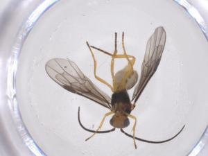  ( - CBG-A64087-F04)  @11 [ ] CreativeCommons - Attribution Share - Alike (2025) Centre for Biodiversity Genomics Centre for Biodiversity Genomics