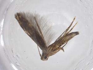  ( - CBG-A65527-G10)  @11 [ ] CreativeCommons - Attribution Share - Alike (2025) Centre for Biodiversity Genomics Centre for Biodiversity Genomics