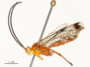  ( - CBG-B15174-C05)  @11 [ ] CreativeCommons - Attribution Share - Alike (2025) CBG Photography Group Centre for Biodiversity Genomics