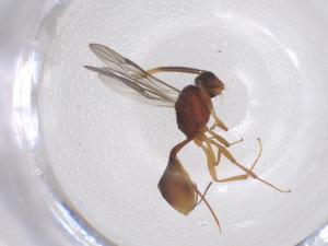  ( - CBG-B17082-G07)  @11 [ ] CreativeCommons - Attribution Share - Alike (2025) Centre for Biodiversity Genomics Centre for Biodiversity Genomics