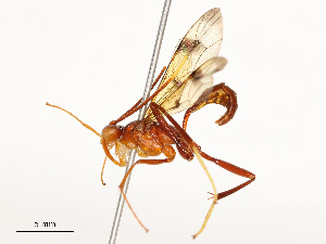  ( - CBG-B17302-E07)  @11 [ ] CreativeCommons - Attribution Share - Alike (2025) CBG Photography Group Centre for Biodiversity Genomics