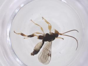  ( - CBG-B18640-A07)  @11 [ ] CreativeCommons - Attribution Share - Alike (2025) Centre for Biodiversity Genomics Centre for Biodiversity Genomics