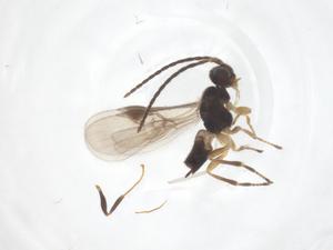  ( - CBG-B18642-H04)  @11 [ ] CreativeCommons - Attribution Share - Alike (2025) Centre for Biodiversity Genomics Centre for Biodiversity Genomics