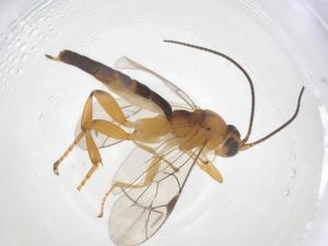  ( - CBG-B18644-G01)  @11 [ ] CreativeCommons - Attribution Share - Alike (2025) Centre for Biodiversity Genomics Centre for Biodiversity Genomics