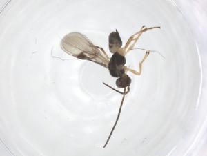  ( - CBG-B18658-H04)  @11 [ ] CreativeCommons - Attribution Share - Alike (2025) Centre for Biodiversity Genomics Centre for Biodiversity Genomics