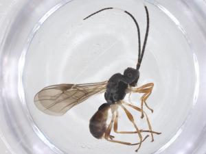  ( - CBG-B18729-F08)  @11 [ ] CreativeCommons - Attribution Share - Alike (2025) Centre for Biodiversity Genomics Centre for Biodiversity Genomics