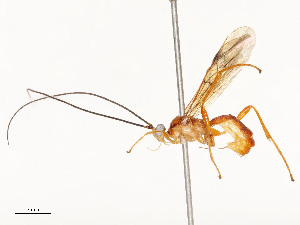  ( - CBG-B18736-G01)  @11 [ ] CreativeCommons - Attribution Share - Alike (2025) CBG Photography Group Centre for Biodiversity Genomics