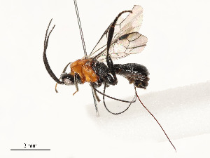  ( - CBG-A58618-F12)  @11 [ ] CreativeCommons - Attribution Share - Alike (2025) CBG Photography Group Centre for Biodiversity Genomics