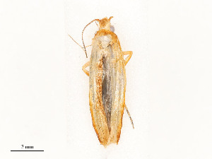  ( - CBG-A58619-D10)  @11 [ ] CreativeCommons - Attribution Share - Alike (2025) CBG Photography Group Centre for Biodiversity Genomics