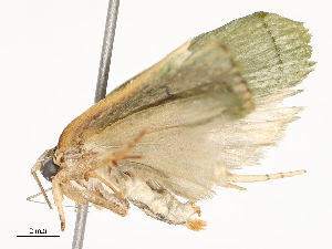  (geoMalaise01 Malaise9647 - CBG-A58707-B02)  @11 [ ] CreativeCommons - Attribution Share - Alike (2025) CBG Photography Group Centre for Biodiversity Genomics