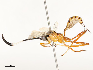  ( - CBG-A59488-E05)  @11 [ ] CreativeCommons - Attribution Share - Alike (2025) CBG Photography Group Centre for Biodiversity Genomics