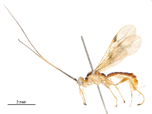  ( - CBG-A59494-E09)  @11 [ ] CreativeCommons - Attribution Share - Alike (2025) CBG Photography Group Centre for Biodiversity Genomics