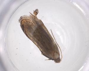  ( - CBG-A59967-H05)  @11 [ ] CreativeCommons - Attribution Share - Alike (2025) Centre for Biodiversity Genomics Centre for Biodiversity Genomics