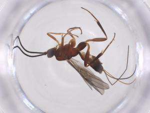  ( - CBG-A61359-B07)  @11 [ ] CreativeCommons - Attribution Share - Alike (2025) Centre for Biodiversity Genomics Centre for Biodiversity Genomics