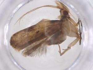  ( - CBG-A61440-D02)  @11 [ ] CreativeCommons - Attribution Share - Alike (2025) Centre for Biodiversity Genomics Centre for Biodiversity Genomics