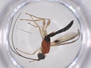  ( - CBG-A61601-F05)  @11 [ ] CreativeCommons - Attribution Share - Alike (2025) Centre for Biodiversity Genomics Centre for Biodiversity Genomics