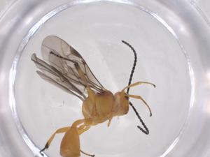  ( - CBG-A61624-F05)  @11 [ ] CreativeCommons - Attribution Share - Alike (2025) Centre for Biodiversity Genomics Centre for Biodiversity Genomics