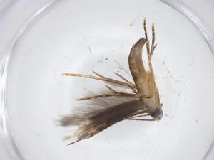  ( - CBG-A62279-D08)  @11 [ ] CreativeCommons - Attribution Share - Alike (2025) Centre for Biodiversity Genomics Centre for Biodiversity Genomics