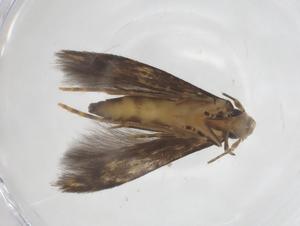  ( - CBG-A62342-G12)  @11 [ ] CreativeCommons - Attribution Share - Alike (2025) Centre for Biodiversity Genomics Centre for Biodiversity Genomics