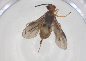  ( - CBG-A62368-D02)  @11 [ ] CreativeCommons - Attribution Share - Alike (2025) Centre for Biodiversity Genomics Centre for Biodiversity Genomics