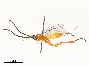  ( - CBG-A59492-E12)  @11 [ ] CreativeCommons - Attribution Share - Alike (2025) CBG Photography Group Centre for Biodiversity Genomics