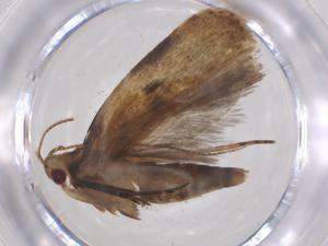  ( - CBG-A62103-G09)  @11 [ ] CreativeCommons - Attribution Share - Alike (2025) Centre for Biodiversity Genomics Centre for Biodiversity Genomics