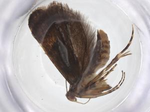  ( - CBG-A62130-H08)  @11 [ ] CreativeCommons - Attribution Share - Alike (2025) Centre for Biodiversity Genomics Centre for Biodiversity Genomics