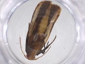  ( - CBG-A62297-D12)  @11 [ ] CreativeCommons - Attribution Share - Alike (2025) Centre for Biodiversity Genomics Centre for Biodiversity Genomics