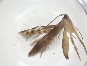  ( - CBG-A62306-H03)  @11 [ ] CreativeCommons - Attribution Share - Alike (2025) Centre for Biodiversity Genomics Centre for Biodiversity Genomics