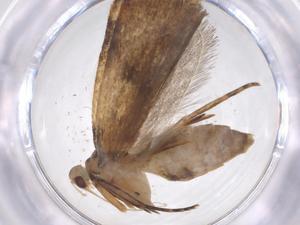  ( - CBG-A62307-F12)  @11 [ ] CreativeCommons - Attribution Share - Alike (2025) Centre for Biodiversity Genomics Centre for Biodiversity Genomics