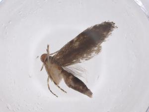  ( - CBG-A62386-G06)  @11 [ ] CreativeCommons - Attribution Share - Alike (2025) Centre for Biodiversity Genomics Centre for Biodiversity Genomics