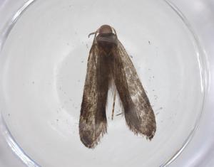  ( - CBG-A62389-E07)  @11 [ ] CreativeCommons - Attribution Share - Alike (2025) Centre for Biodiversity Genomics Centre for Biodiversity Genomics