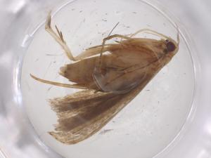  ( - CBG-A62390-A01)  @11 [ ] CreativeCommons - Attribution Share - Alike (2025) Centre for Biodiversity Genomics Centre for Biodiversity Genomics